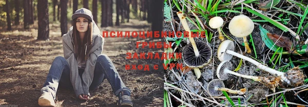 синтетический гашиш Бердск