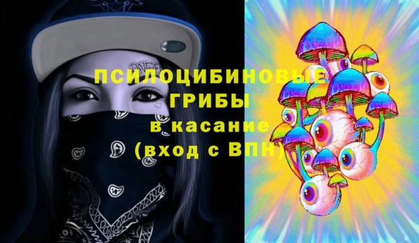 меф Инсар