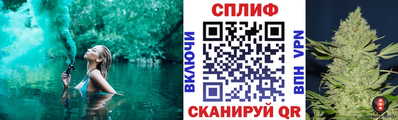 Купить закладки  Дубовка  Каннабис White Widow 